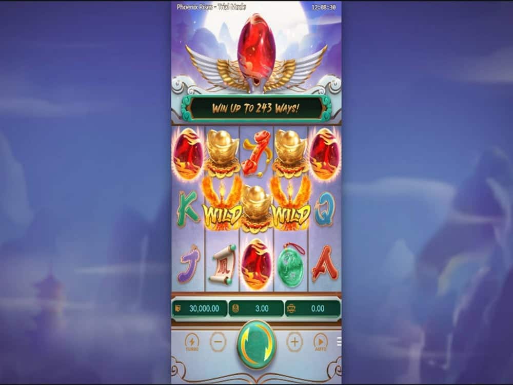 Trik JP Pemula Anti Gagal Cuan Tiap Hari di Phoenix Rises