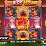 Serunya Cuan Bermain The Dog House di OLE777