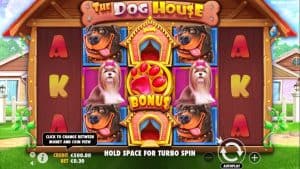 Serunya Cuan Bermain The Dog House di OLE777