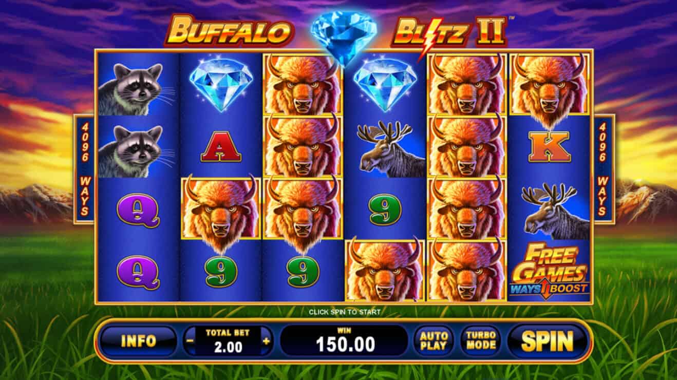 Aksi Padang Liar Penuh Kejutan Seru Spesial Buffalo Blitz II